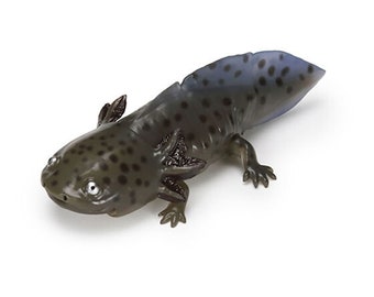 Japan Q Axolotl Salamander PVC Action Figure model with joints (10cm) B