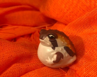 Common bushveld rain frog PVC mini Model Figure roly poly toy D