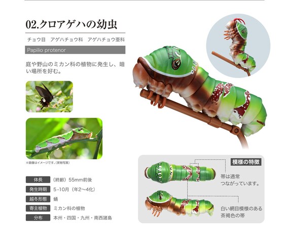 Spangle Swallowtail Butterfly Caterpillar Pvc Action Figure Etsy