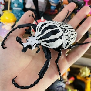 Life Size 1:1 Goliath Goliath beetle Insect PVC Figure model B image 1