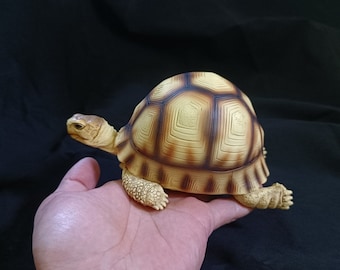 Angonoka Tortoise Lying Resin Replica Model Figurine 15.5cm