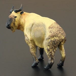 Takin cattle chamois animal PVC model figure figurine image 1