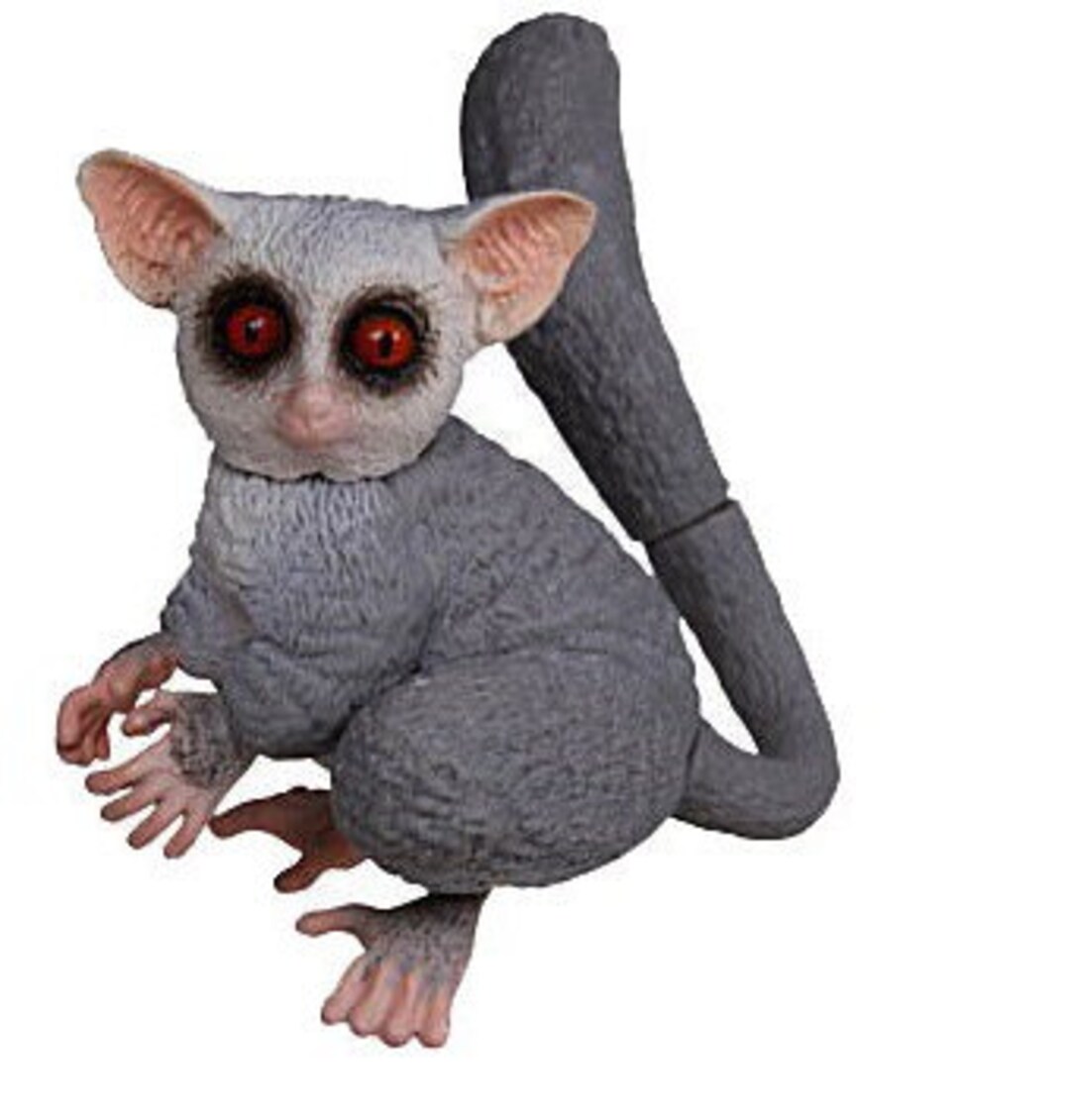Lesser Bushbaby Lesser Galagos Monkey Animal PVC Figure Model With