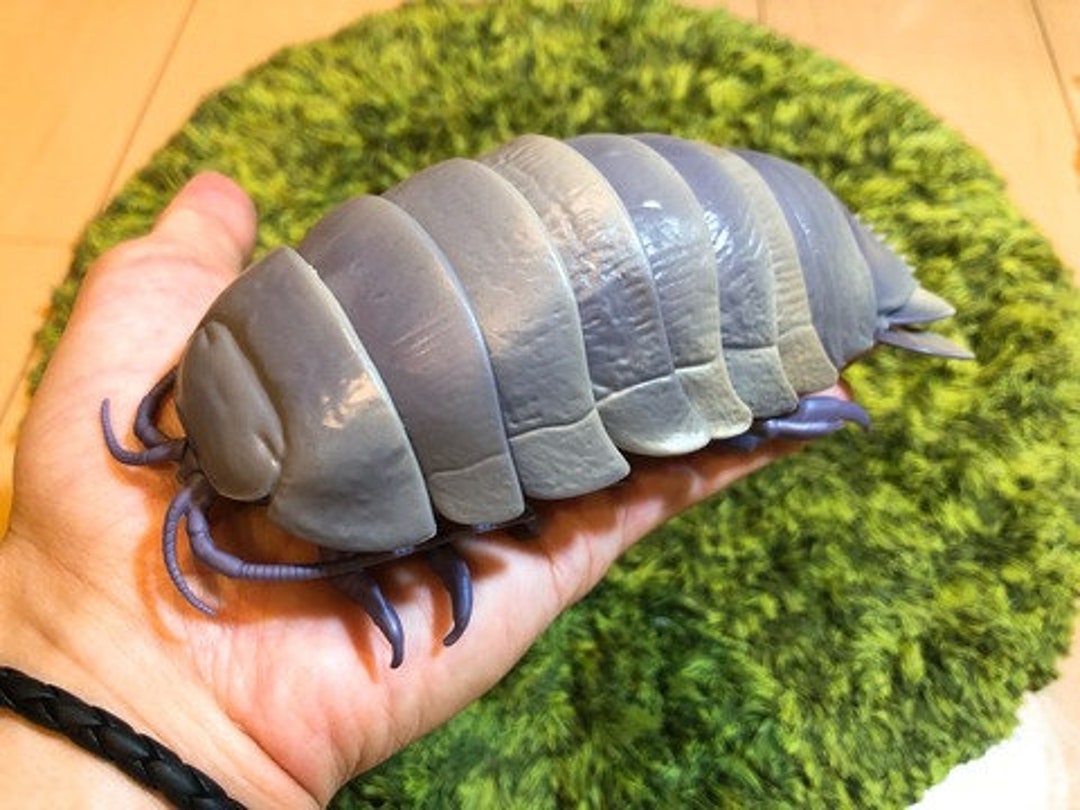 Deep Sea Giant Isopod Animal PVC Action Figure Model real Color - Etsy