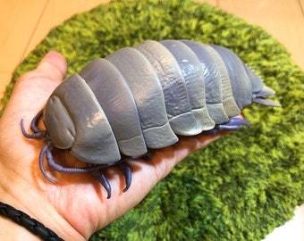Giant Isopod Figure - Etsy