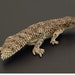 see more listings in the Other Animal Model section