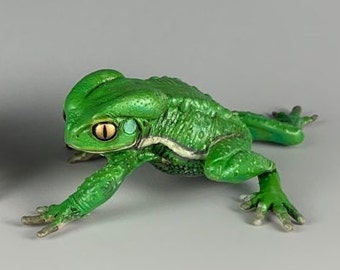 Waxy Monkey Tree Frog Toad PVC Figure Model Figurine