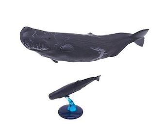 Japan Sperm Whale PVC mini capsule figure model figurine