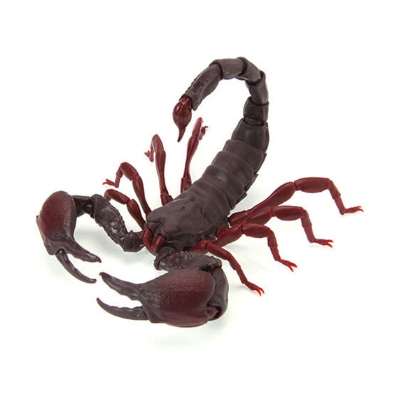 Tanzanian Red Clawed Scorpion PVC Action Figure Model With 35 - Etsy