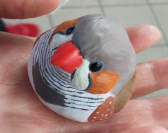 zebra finch toys