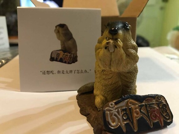 The Legendary Gold-Digging Himalayan Marmot