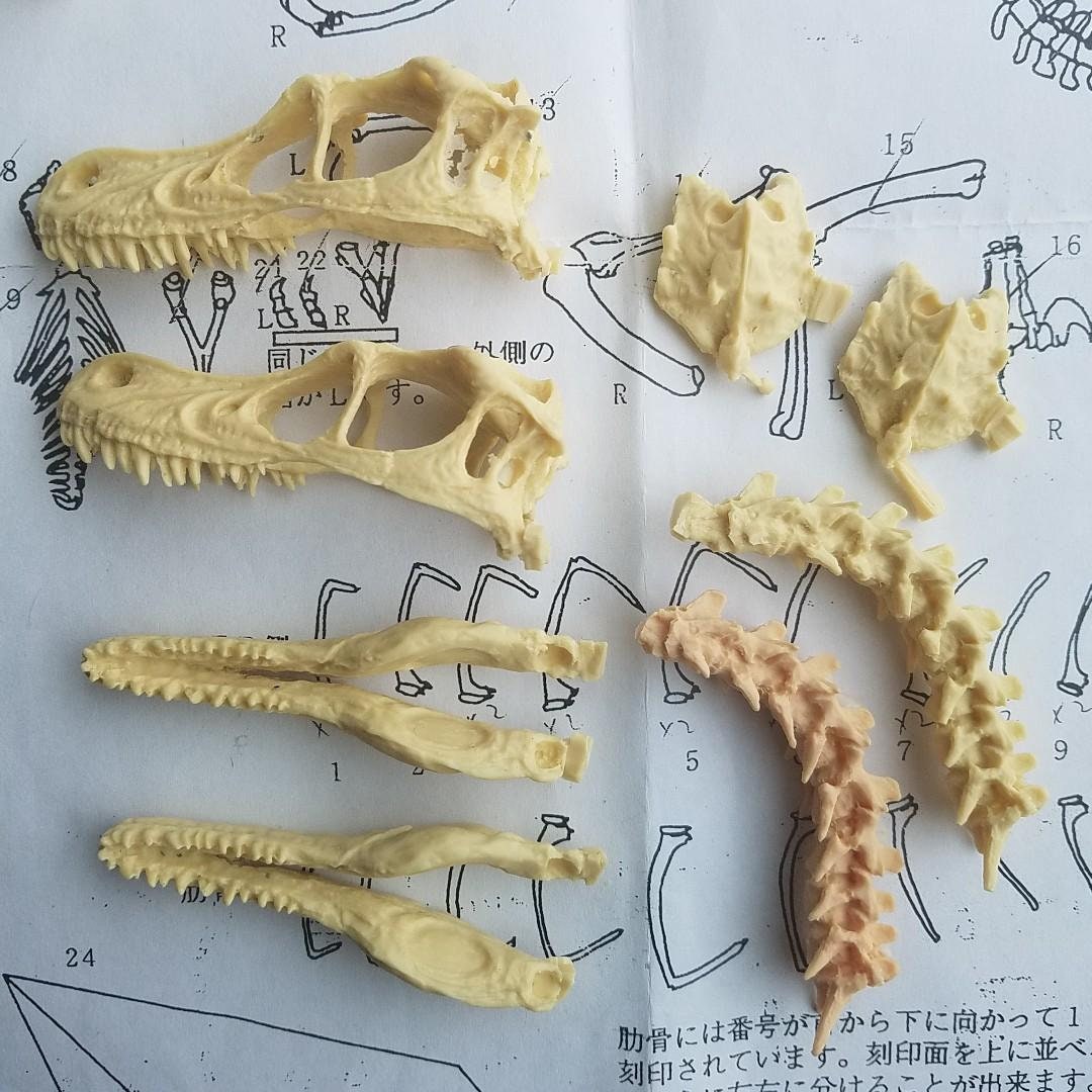 Kaiyodo 1 Velociraptor Skeleton Resin Figure Model Kit Etsy Denmark Kaiyodo 1 Velociraptor Skeleton Resin Figure Model Kit Etsy Denmark