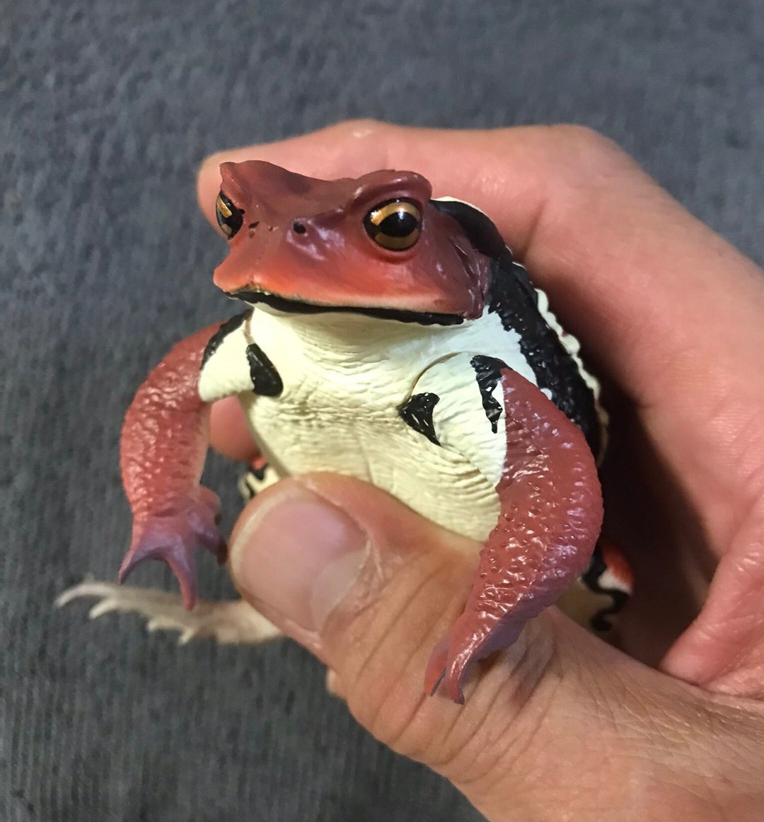 Japan Japanese Common Toad Frog Toad PVC Figure Model Figurine 12cm RED