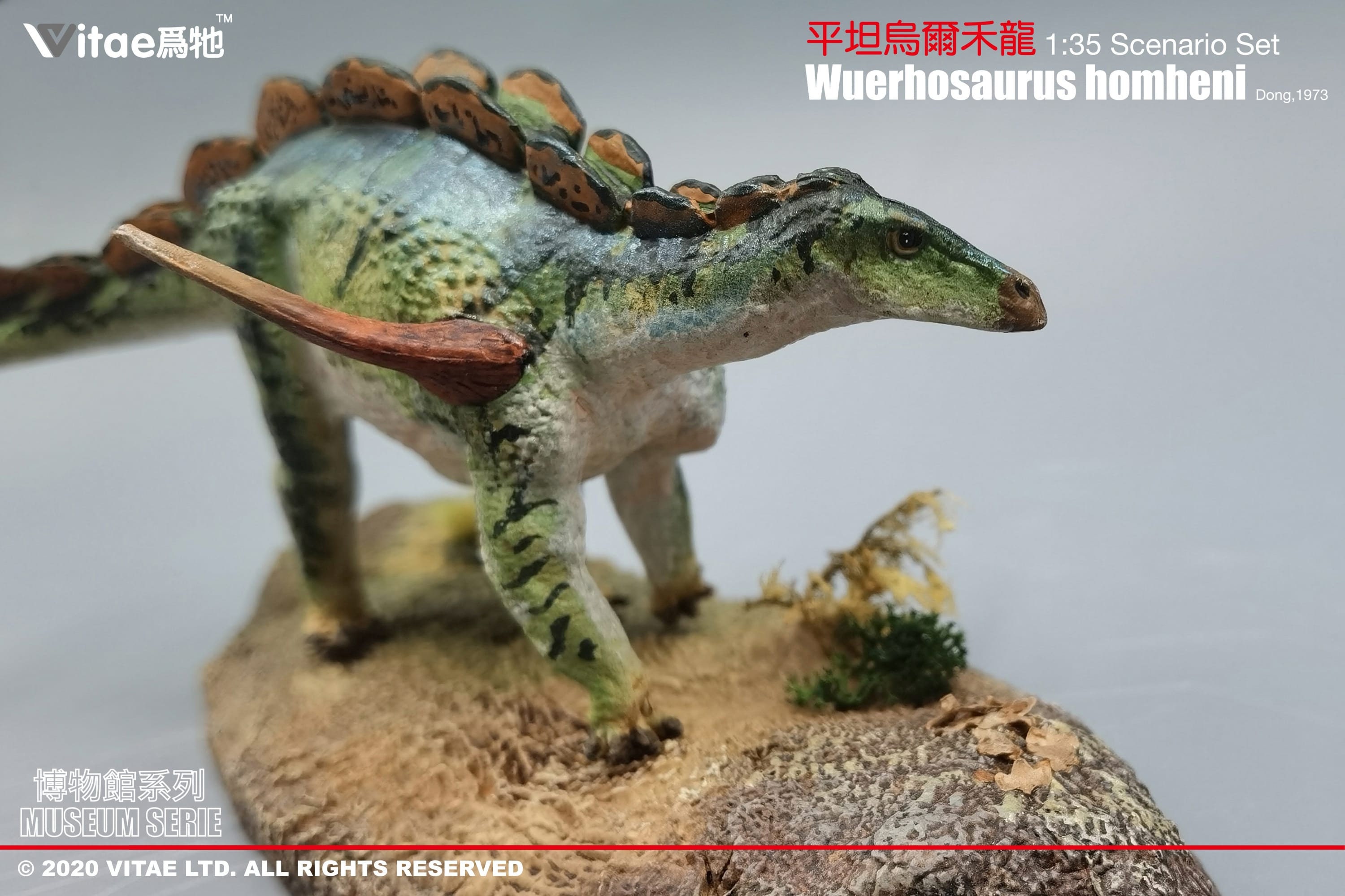 1/35 4cm Dsungaripterus model Toy Ancient Prehistroy Animal