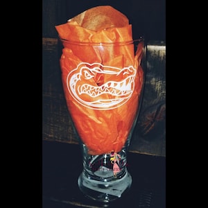 Football * NFL* NCAA * Gators * SEC * Beer Mug