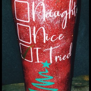 Naughty, Nice, I TRIED Stainless Steel Tumbler