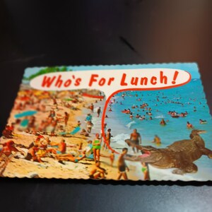 Carte postale vintage alligator de Floride Who's For Lunch PC 535