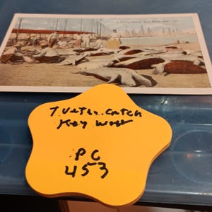 Une tortue de mer attraper Key West carte postale vintage rare PC 453