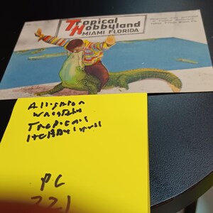 Carte postale ancienne lutte contre les alligators à Tropical Hobbyland PC 321