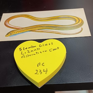 Schlanke Glass Lizard Werbekarte Vintage PC-234