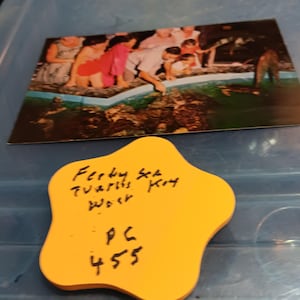 L'alimentazione delle tartarughe marine nell'acquario di Key West, cartolina d'epoca rara PC 455