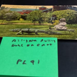 ワニがカートを引いて、その上に女の子が乗っている絵葉書、ヴィンテージ PC 91