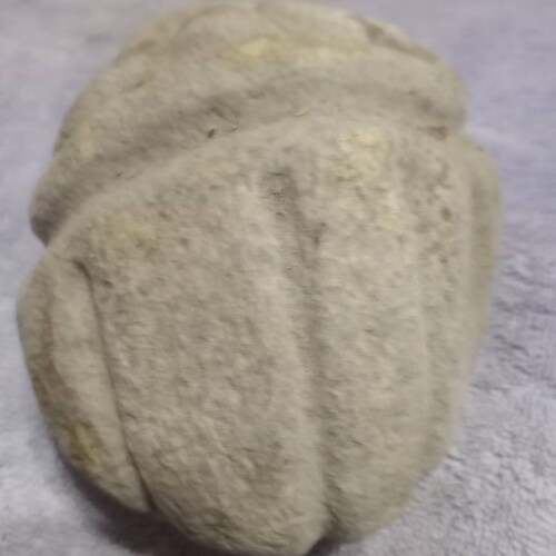 Face rock hand carved by the people of the Dominican Republic very shops good condition