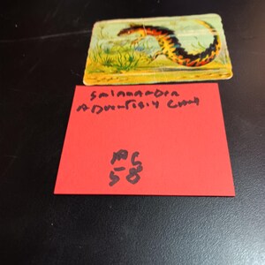 Salamander Werbekarte Vintage PC 58