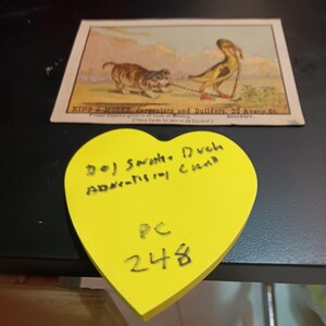 Hund Schlange Ente Werbekarte Vintage PC 248