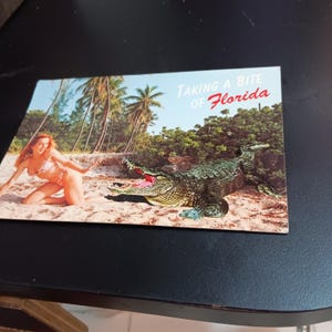 Caimán atacando a una niña en una postal vintage de Florida, de los años 80.