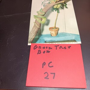 Grüne Baumboa Vintage Postkarte PC 27