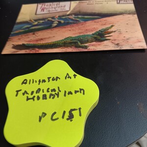 Fosa de caimanes en Tropical Hobbyland, Florida, postal vintage PC 151