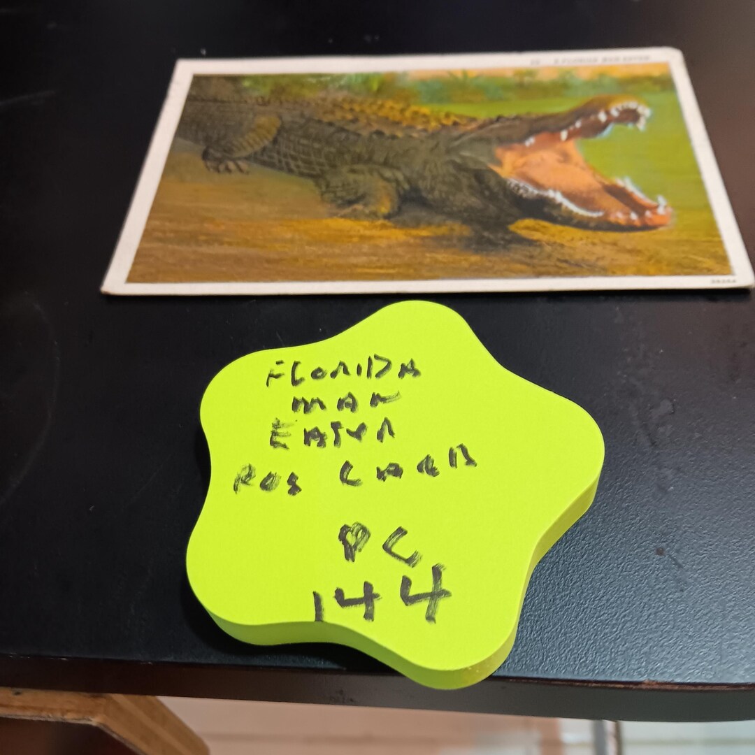 Florida Man Eater Post Card Vintage PC 144 - Etsy