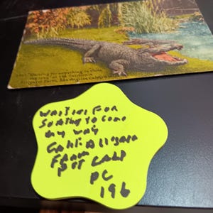 En attendant que quelque chose vienne à moi Carte postale de ferme d'alligators de Californie vintage PC 196