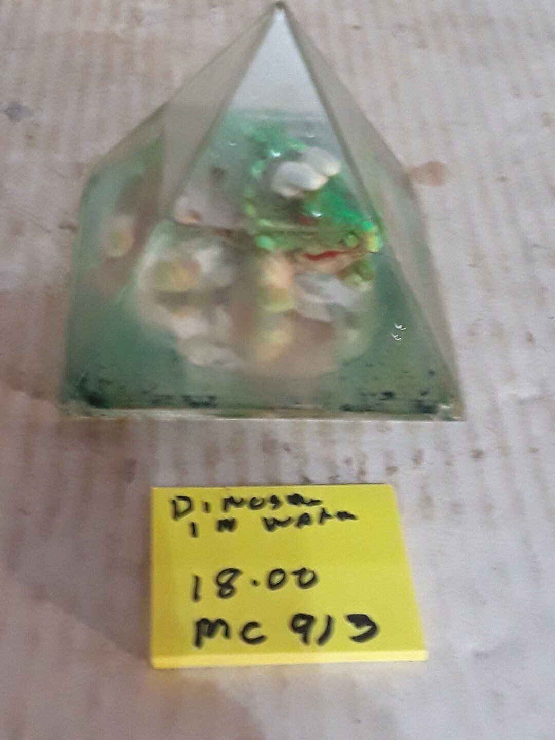 Incased Dinosaur Incased in Liquid Plastic Exterior Unusual - Etsy