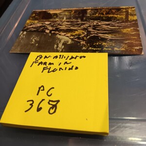 Carte postale vintage une ferme d'alligators en Floride PC 368