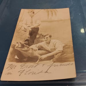 Carte postale vintage Alligator de Floride très ancienne PC rare 399