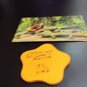 Postal antigua de un indio con caimanes en Florida, escasa PC 446
