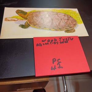 Wiid Schildkröte Werbekarte Vintage PC 42