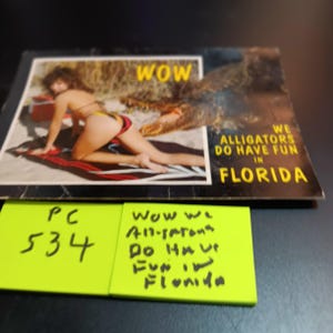 Carte postale vintage PC 534 Wow We Alligators Do Have Fun In Florida