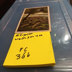 Des alligators vous attendent en Floride, carte postale vintage PC 366