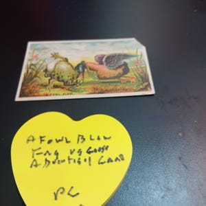 A Fowl Blow Frosch gegen Gans Werbekarte Vintage PC-249
