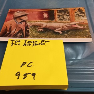 Toll für die Alligator Vintage Postkarte knapp PC 959