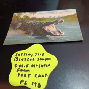 Lassen Sie diese gesegnete Sonnenschein California Alligator Farm Postkarte Vintage PC 198