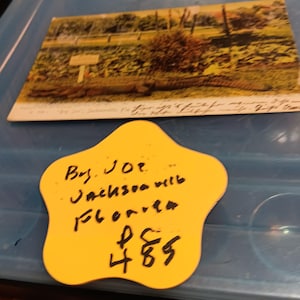 Carte postale vintage Big Joe alligator Jacksonville Floride PC 485