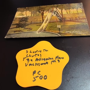 Shooting the Chutes Florida Alligator Farm Jacksonville Florida Vintage-Postkarte PC 500