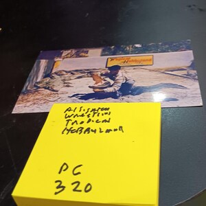 Carte postale vintage de lutte contre les alligators, Tropical Hobbyland, PC 320