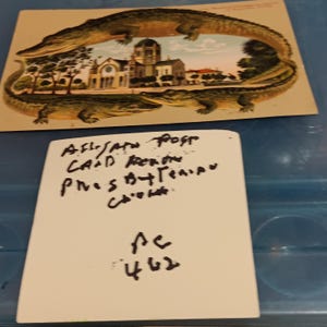 Carte postale vintage alligator de l'église presbytérienne Memorial St Augustine Florida PC 462