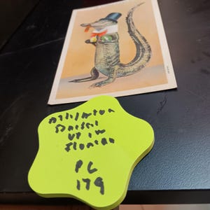 Carte postale Alligator avec des vêtements debout en Floride PC 179 vintage