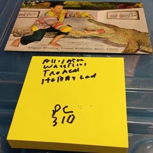 Carte postale vintage avec lutte contre les alligators au pays de Tropical Hobby, PC 310, rare